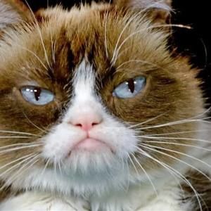 Meet your Posher, Araceli